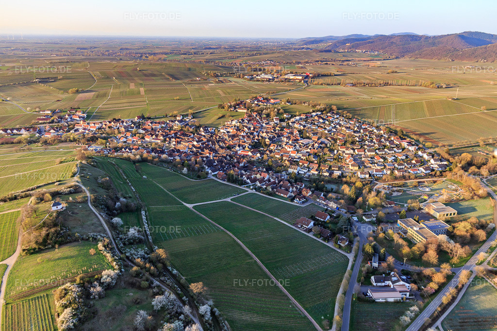 Luftbild: Kapelle 
