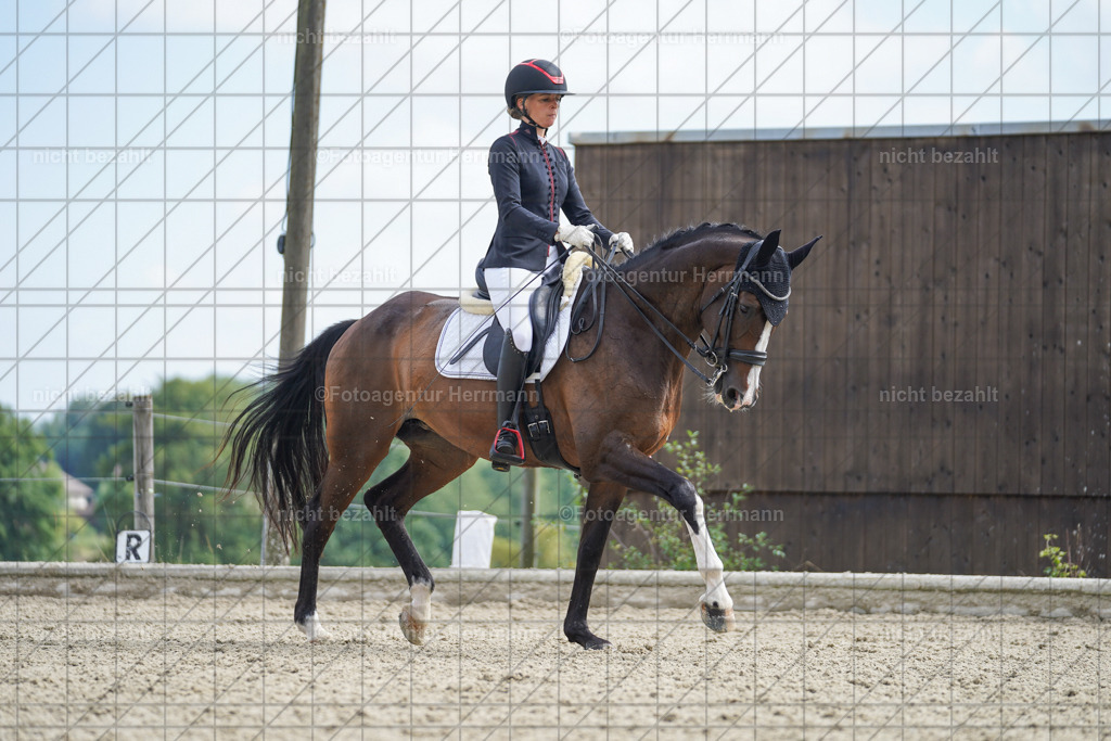 20230826-FAH05988 | Forstinning, 2023, Dressurturnier, Turniersportbilder, Turnierfotografen Bayern, Fotoagentur Herrmann, Reitsportfotografie, Turnierbilder