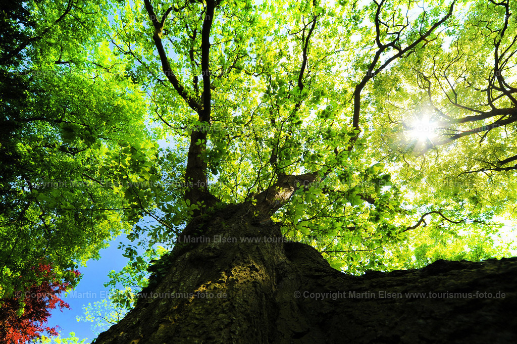 Himmelpforten_ELS_499623684a | Himmelpforten - Aufnahmedatum: 02.06.2010, Aufnahmehöhe:  m, Koordinaten:  - , Bildgröße: 4256 x  2832 Pixel - Copyright 2010 by Martin Elsen, Kontakt: Tel.: +49 157 74581206, E-Mail: info@schoenes-foto.deSchlagwörter: - Realisiert mit Pictrs.com