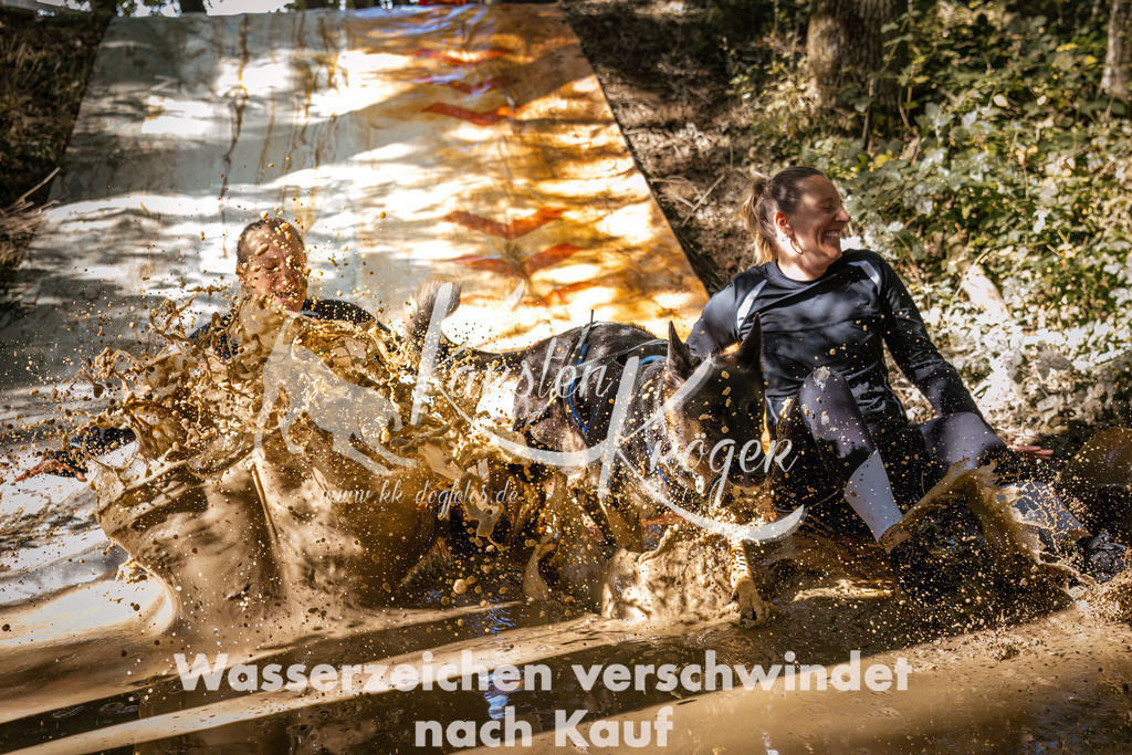 1342_ZZ92113 | kk-dogfotos