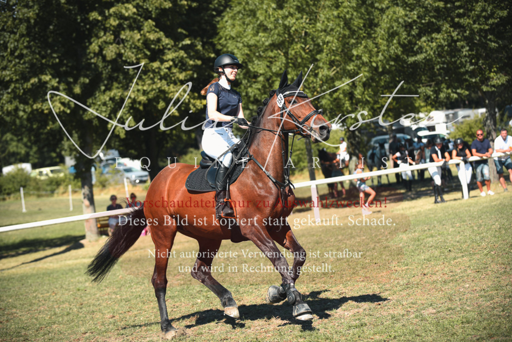 DSC_7230 | Pferde- und Turnierfotografie in Westsachsen. Pferdeportraits, Auftragszeichnungen und intuitive Kunst.