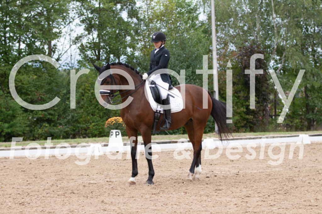 IMG_7424 | Creatify Fotografie