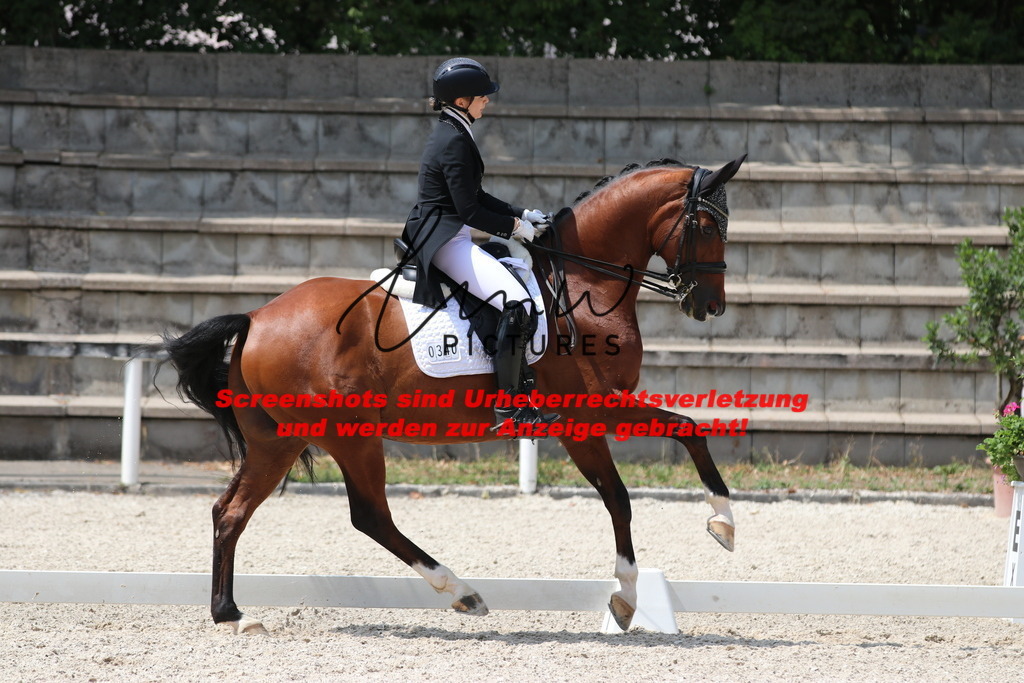 IMG_7547 | lmwpictures - Realisiert mit Pictrs.com