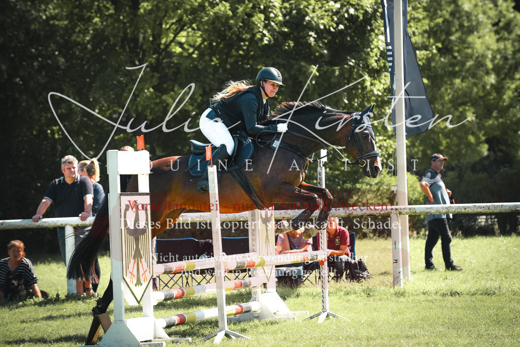 DSC_9401 | Pferde- und Turnierfotografie in Westsachsen. Pferdeportraits, Auftragszeichnungen und intuitive Kunst.