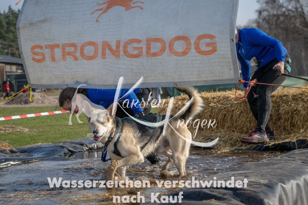 _ZZ90064 | kk-dogfotos