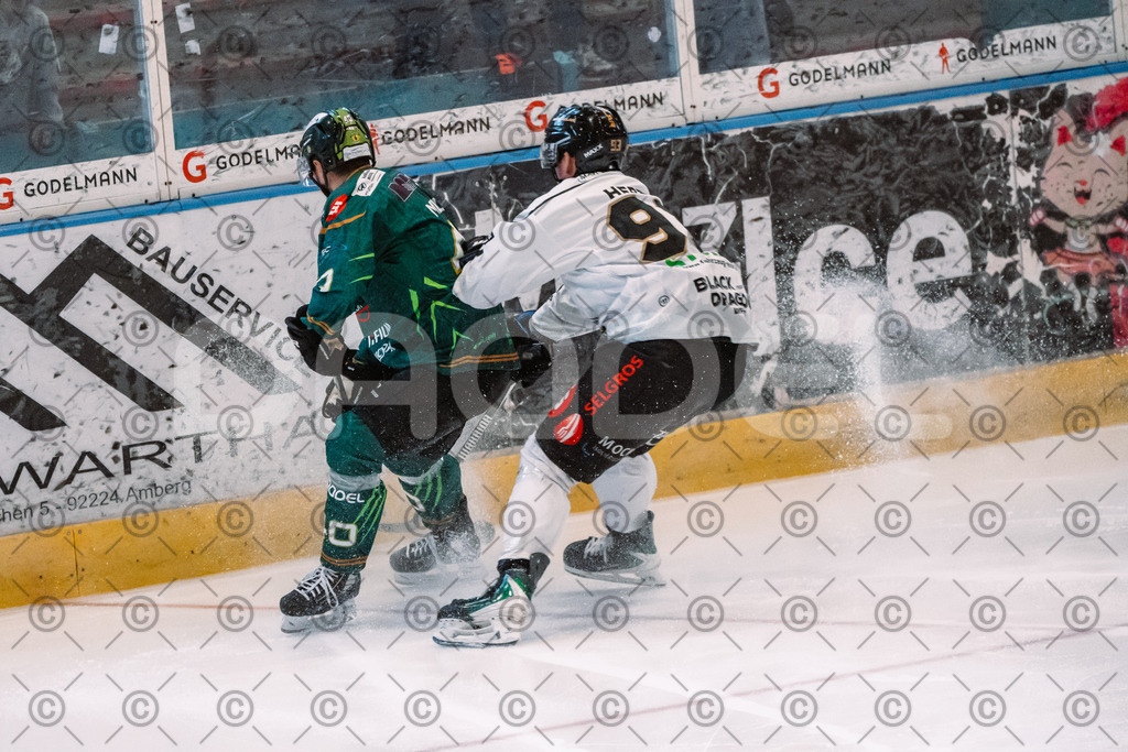 Alligators_vs_Erfurt_06_09_2026-16 | Die Fotogalerie von Daddel: professionelle Bilder von Sport, Events und Unternehmen aus Franken. Jetzt Galerien durchstöbern und Lieblingsfotos bestellen. - Realisiert mit Pictrs.com