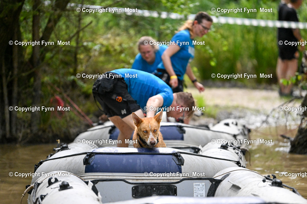 DSC_3127 | Hallo und herzlich Willkommen auf meiner Shop-Seite Fynn Most.

Ich wünsche Dir viel Spaß beim stöbern durch die Bilder, wenn Du Fragen hast oder Bilder vermisst, kannst du mir gerne eine Nachricht schreiben. - Realisiert mit Pictrs.com