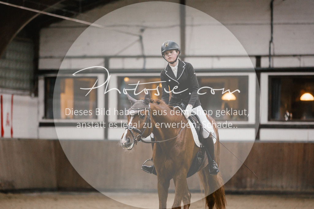 3I6A5939 | Stimmungsvolle Portraits und Reitsportfotografie im Ruhrgebiet und im Münsterland.

Pferdefotografie, Hundefotografie, Tierfotografie, Reportagen, Portraits von Tier und Mensch, Turnierfotografie in Bochum, Recklinghausen, Marl, Haltern am See, Dülmen.. - Realisiert mit Pictrs.com