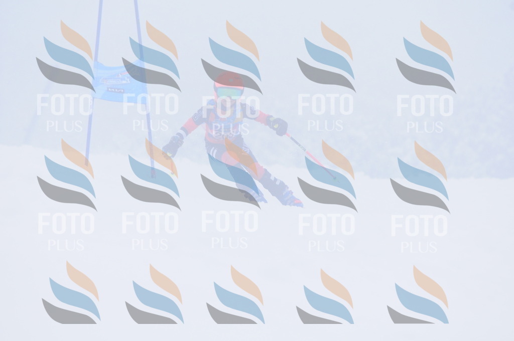 C2205 | holidayphoto