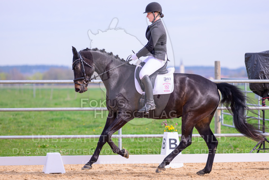 09042026-Mammendorf-Prfg01-0053 | Fokus Hufschlag Fotografie - Realisiert mit Pictrs.com