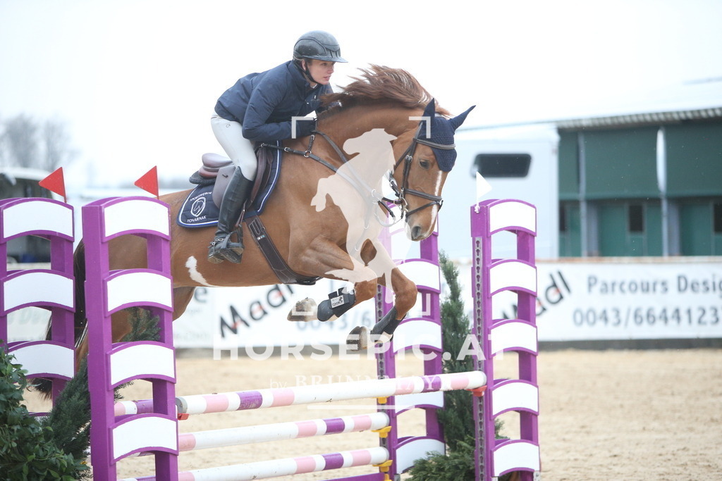 AS8V1816 | Willkommen bei Brunnmayr - Design & Fotografie – Ihrem Spezialisten für Reitturniere und Pferdeveranstaltungen in Oberösterreich, Salzburg und Bayern! Seit über 17 Jahren sind wir leidenschaftlich dabei.