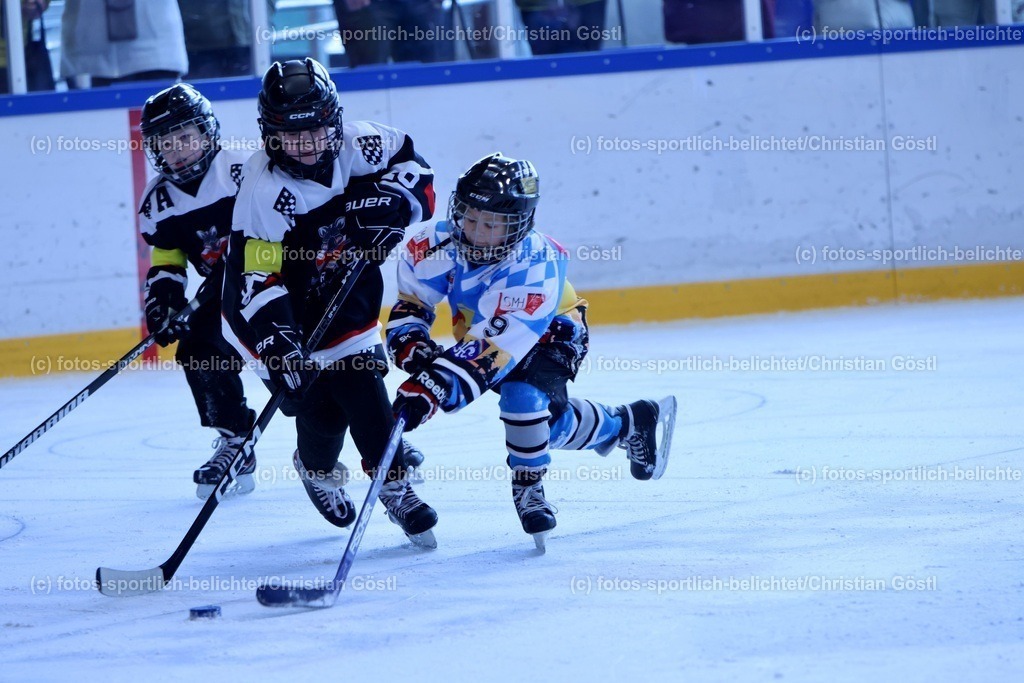 2X5A2326 | fotos-sportlich-belichtet - Realisiert mit Pictrs.com