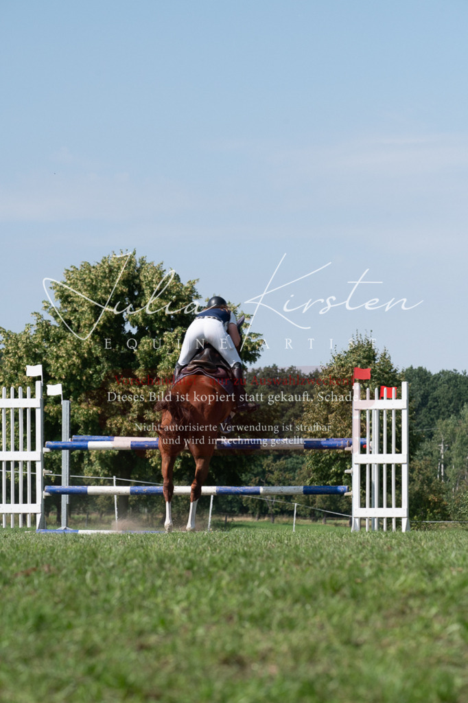 DSC_0887 | Pferde- und Turnierfotografie in Westsachsen. Pferdeportraits, Auftragszeichnungen und intuitive Kunst.