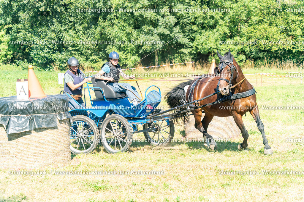 2026-08-08_14-55-34_WBO_Pulsnitz | sternberg.click - Realisiert mit Pictrs.com