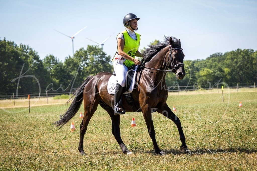 CJP_2026-06-26_161 | Stimmungsvolle Fotografie von Pferden, fotografische Begleitung von Veranstaltungen, Golfturnieren und Distanzritten - Realisiert mit Pictrs.com