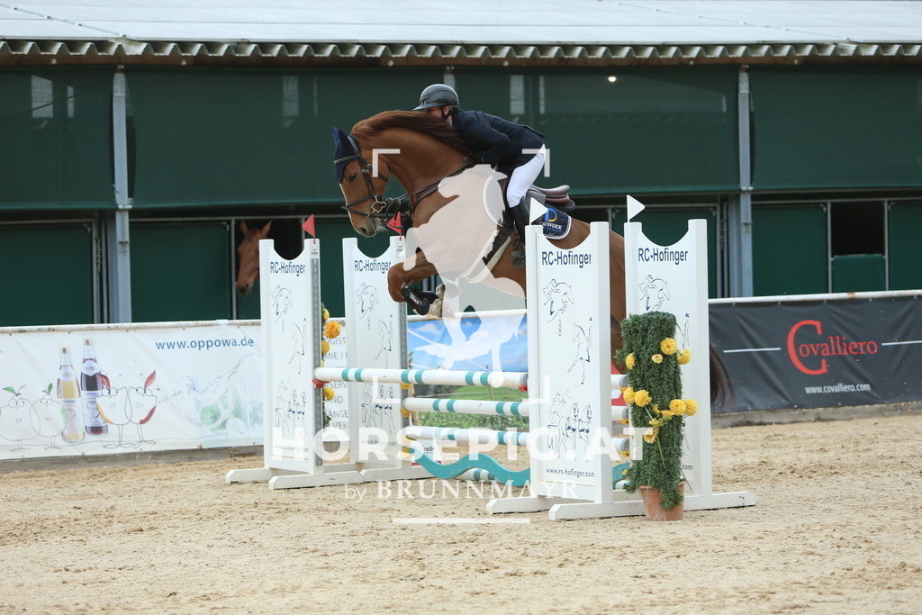 DL2Q1800 | Willkommen bei Brunnmayr - Design & Fotografie – Ihrem Spezialisten für Reitturniere und Pferdeveranstaltungen in Oberösterreich, Salzburg und Bayern! Seit über 17 Jahren sind wir leidenschaftlich dabei.