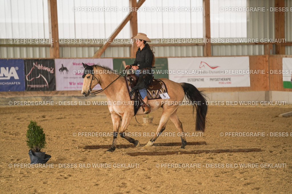 DSC01456 | Pferdegrafie