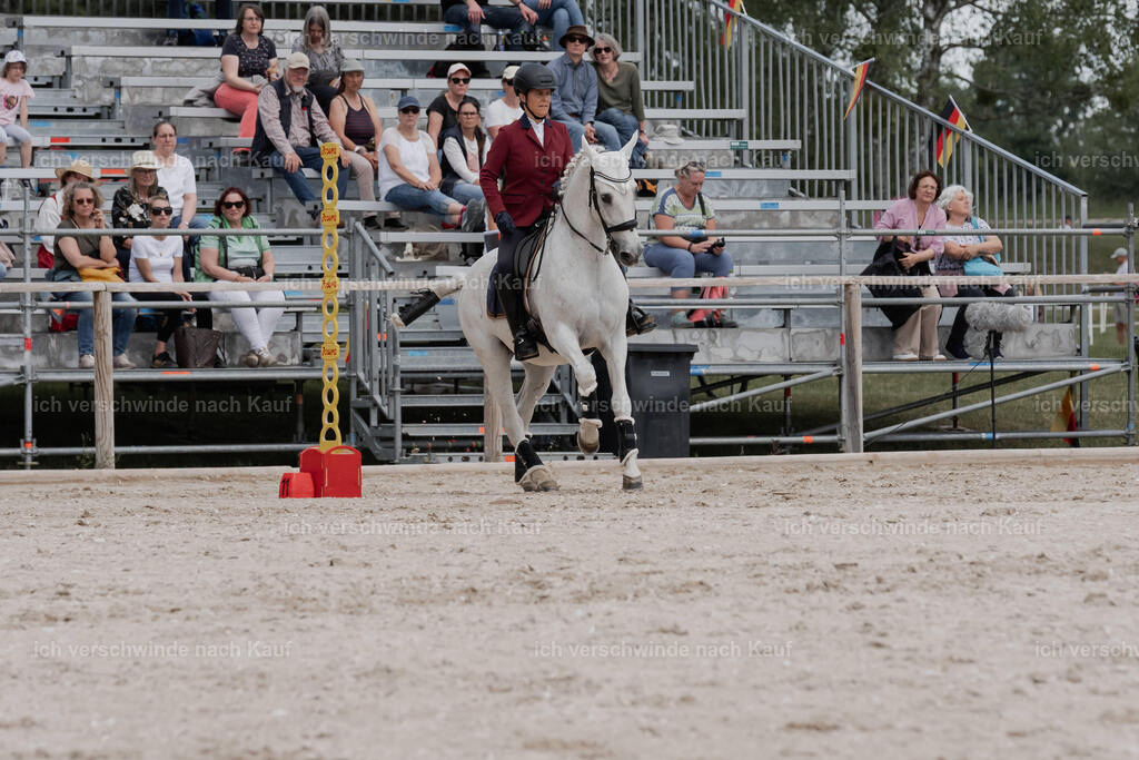 WE_ST_Stoib_332_PI2025_1185 | Pferd International München 2025