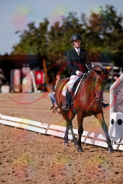 2026_10_03_Siefer-Hof_130744_Z81_58688009 | Professionelle Reitsport-, Turnier- und Eventfotografie von Robert Broda. Galerien mit ausgewählten und bearbeiteten Bildern direkt online ansehen und bestellen.