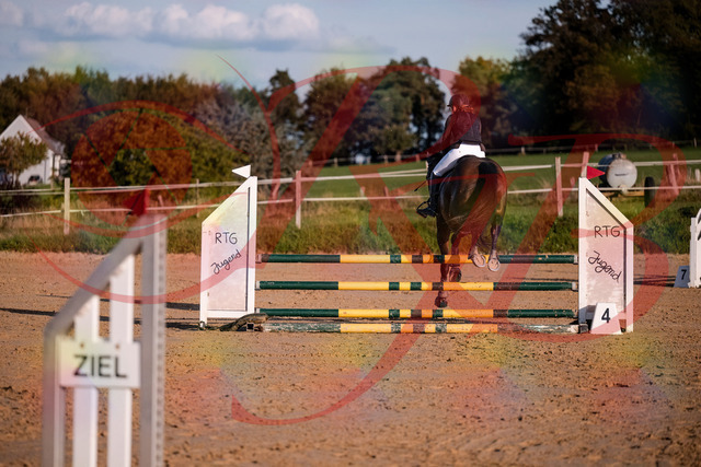 2026_10_03_Siefer-Hof_171906_Z81_17178657 | Professionelle Reitsport-, Turnier- und Eventfotografie von Robert Broda. Galerien mit ausgewählten und bearbeiteten Bildern direkt online ansehen und bestellen.
