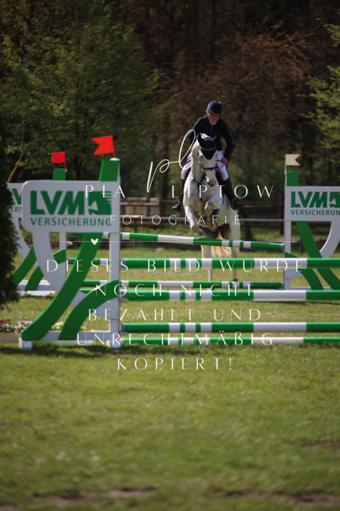 IMGT5491 | pl-fotografie