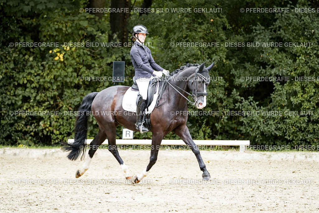 DSC06042 | Pferdegrafie