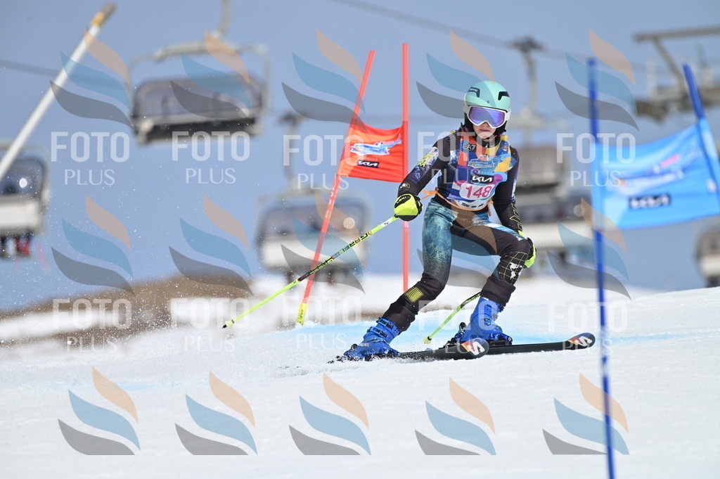 BGV_0008 | holidayphoto