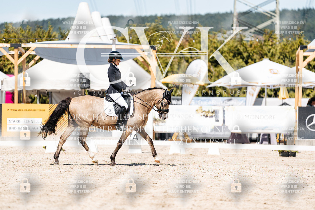 CK909950 | Turnierfotografie Pferdefotografie Trier Rheinland-Pfalz Pferdesport Reitsport Tierfotografie Sportfotografie Pferdevideo Pferdevideografie Equestrianvideography equestrianphotography  - Realisiert mit Pictrs.com