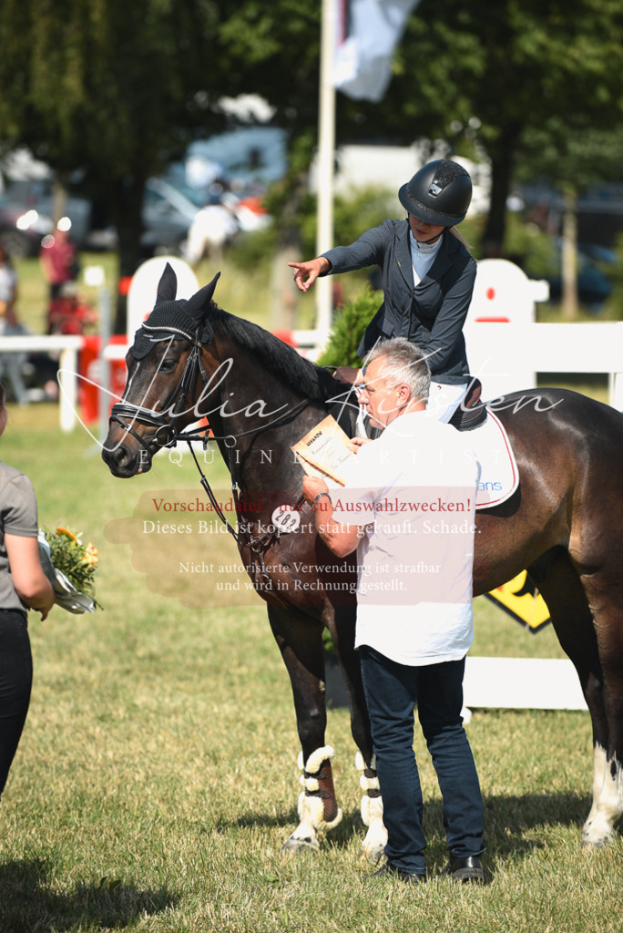 DSC_2613 | Pferde- und Turnierfotografie in Westsachsen. Pferdeportraits, Auftragszeichnungen und intuitive Kunst.