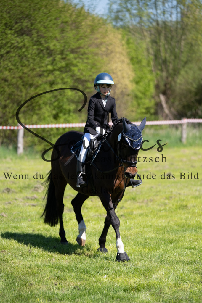 A7V01327 | Pferdefotograf