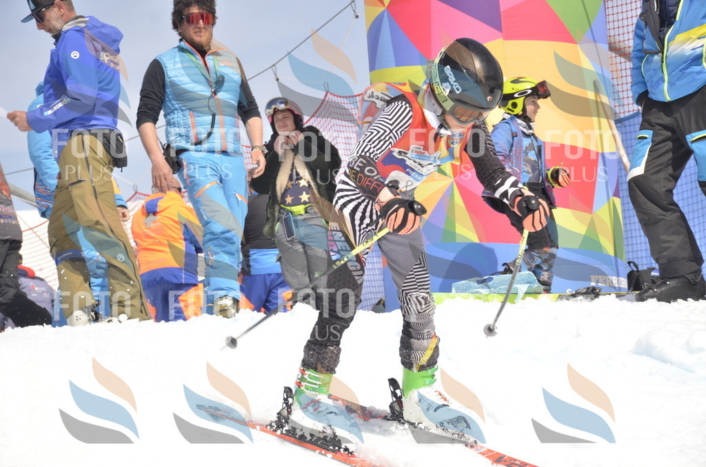 _ELE9243 | holidayphoto