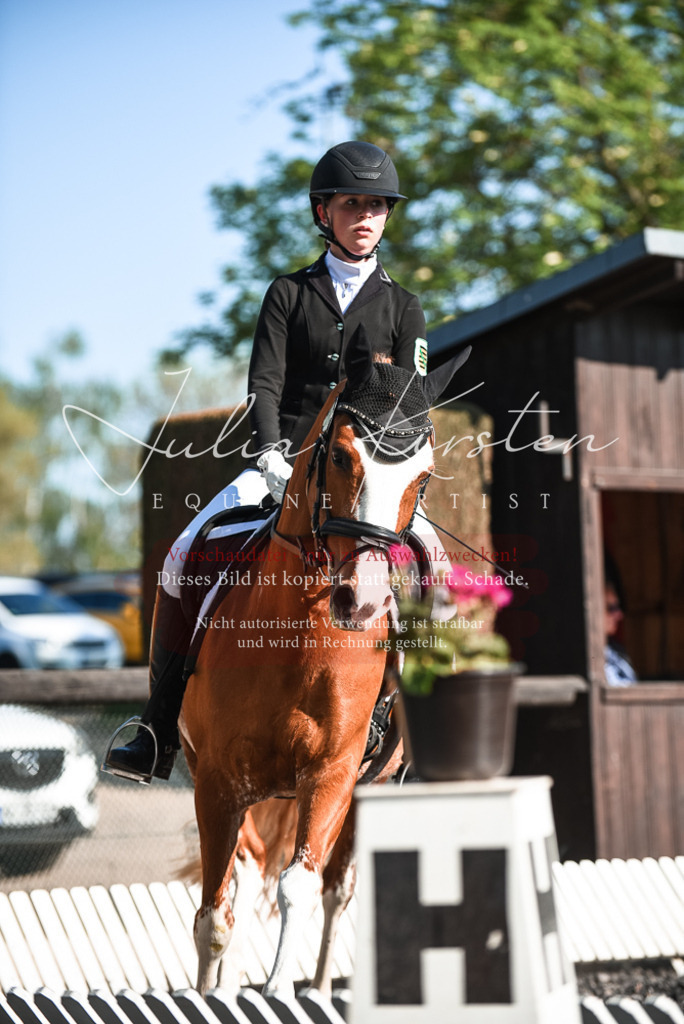 DSC_8264 | Pferde- und Turnierfotografie in Westsachsen. Pferdeportraits, Auftragszeichnungen und intuitive Kunst.