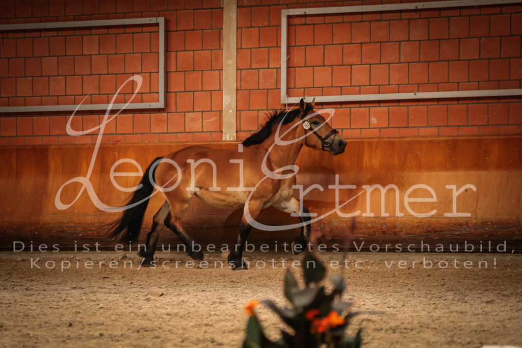 SaFL00297 | Leoni Ertmer Photography - Realisiert mit Pictrs.com