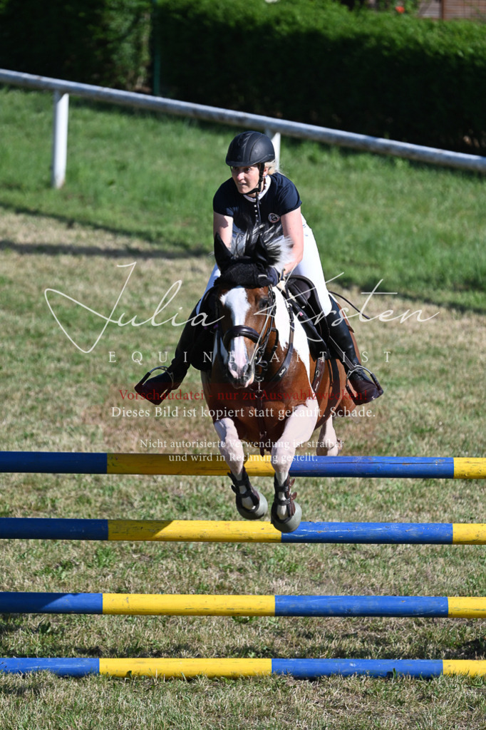 DSC_2388 | Pferde- und Turnierfotografie in Westsachsen. Pferdeportraits, Auftragszeichnungen und intuitive Kunst.