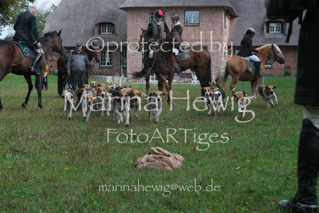 Jagd Perdoel_MarinaHewigDSCF3938 | Fotografie, FotoArt, PferdesportArt, Pferdesportfotografie, Landschaftsfotografie, Reisefotografie, Reise, Pferde - Realisiert mit Pictrs.com