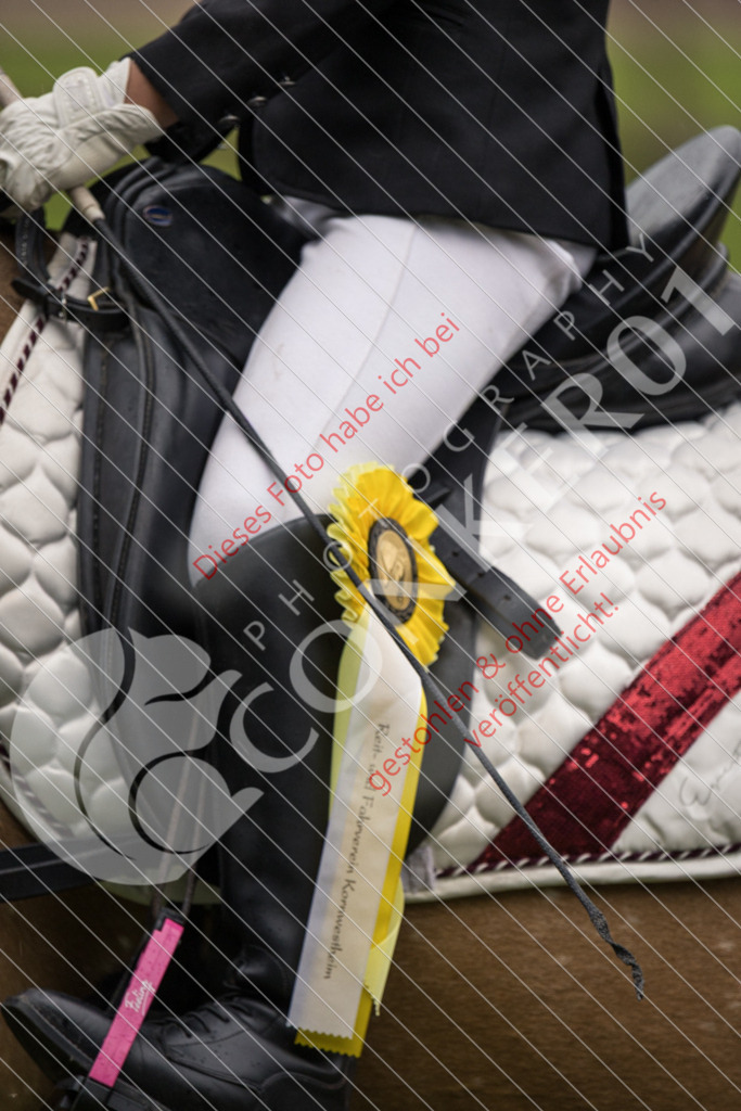 IMG_7949 | Sport-, Event- und Tierfotos in Profiqualität. Einfach auswählen, bestellen und herunterladen. Dein Moment – perfekt festgehalten.