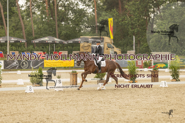 SW 4-769 | mandyhollmannphotographie