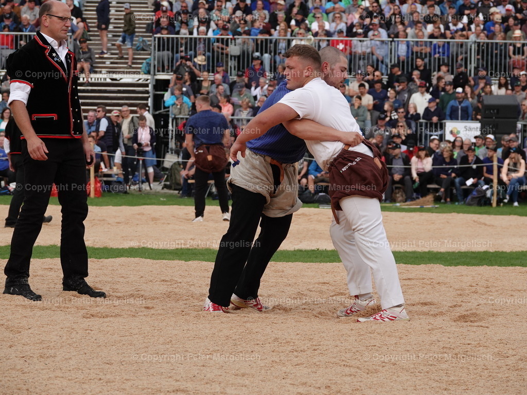 DSC08332 | Schwingen - Realisiert mit Pictrs.com