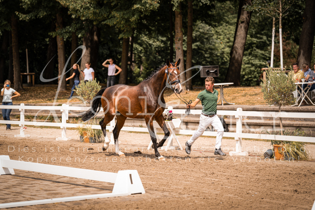 2. Fr00114 | Leoni Ertmer Photography - Realisiert mit Pictrs.com