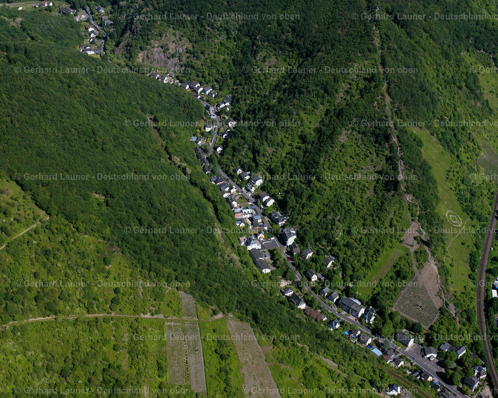 2624065 | BOPPARD 06.08.2016 Wald- Gebiete und Forstflächen umsäumen das Siedlungsgebiet des Dorfes in Boppard im Bundesland Rheinland-Pfalz, Deutschland // Village - view on the edge of forested areas in Boppard in the state Rhineland-Palatinate, Germany Foto: Gerhard Launer