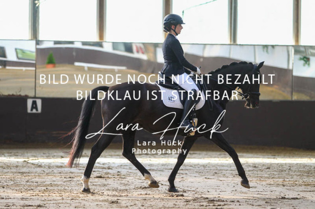 DKP45680 | larahueckfotografie