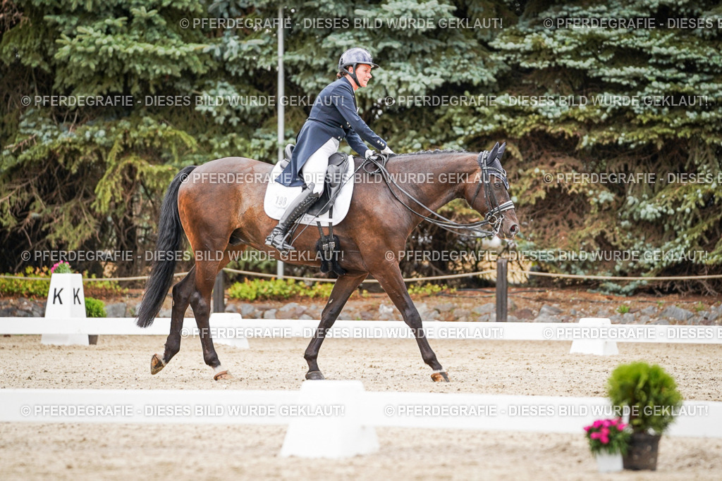 DSC07465 | Pferdegrafie