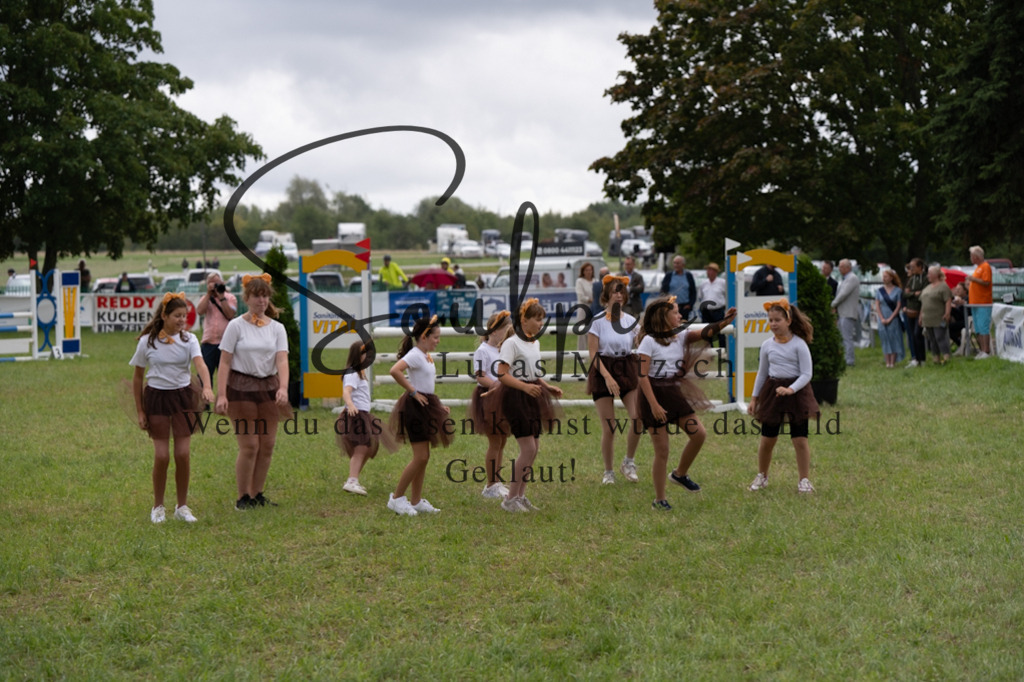 A7V05749 | Pferdefotograf