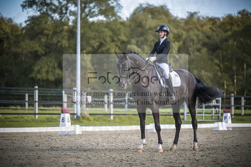 DOS_4404 | Entdecke hochwertige Reitturnierfotos von Foto Oger. Professionell, emotional und authentisch – jetzt Lieblingsmomente im Shop bestellen.Deutschlandweite Turnierfotografie. - Realisiert mit Pictrs.com