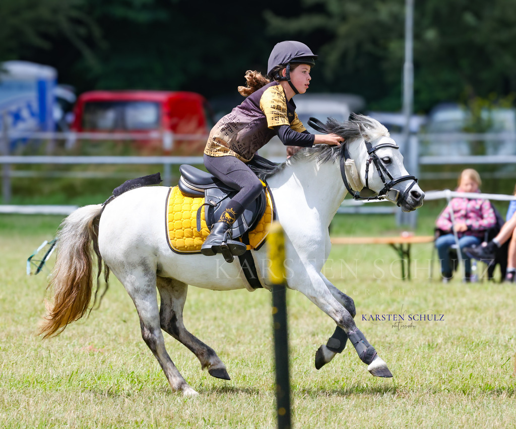 1B3A0639 | Reitsport Reiten