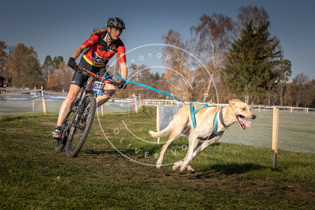 CaniXpix_0L8A7944 | Hundefotografie, Tierfotograf, Pfotenfotografie, Fotoshooting Hund, Hunde Portrait, Hundesport, Hundeportraits, Heideshooting, Hunde, Sportfotograf, Hundefotograf, Turnierhundsport, THS,  - Realisiert mit Pictrs.com