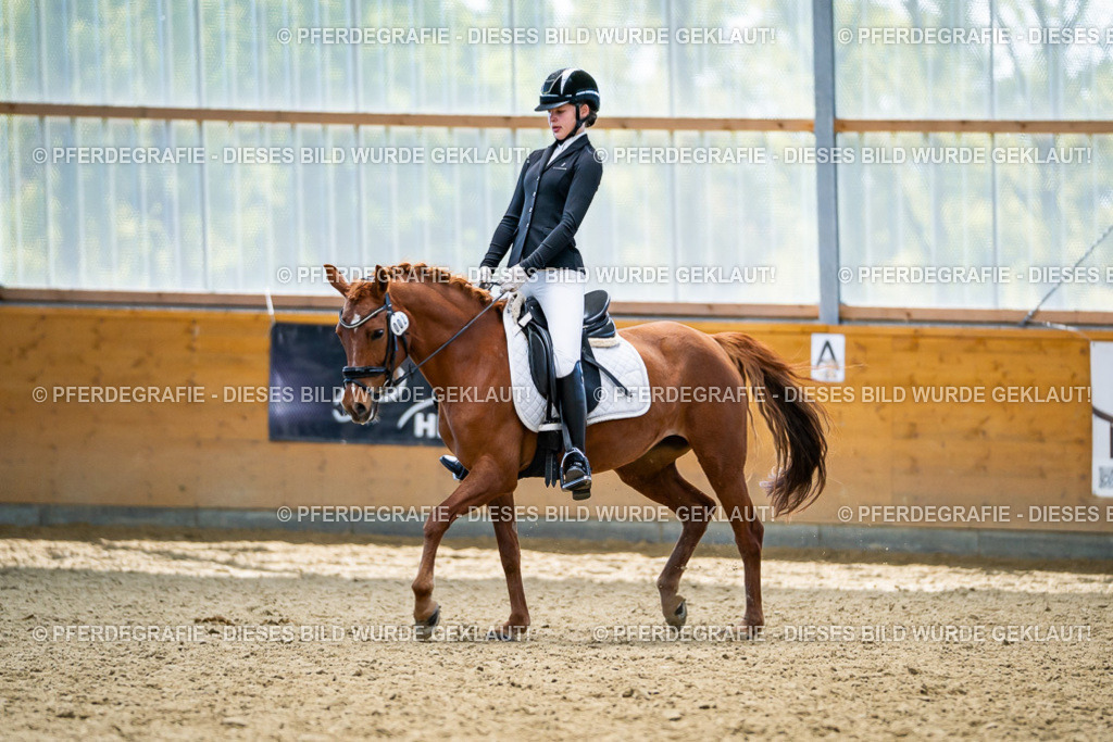 DSC05183 | Pferdegrafie