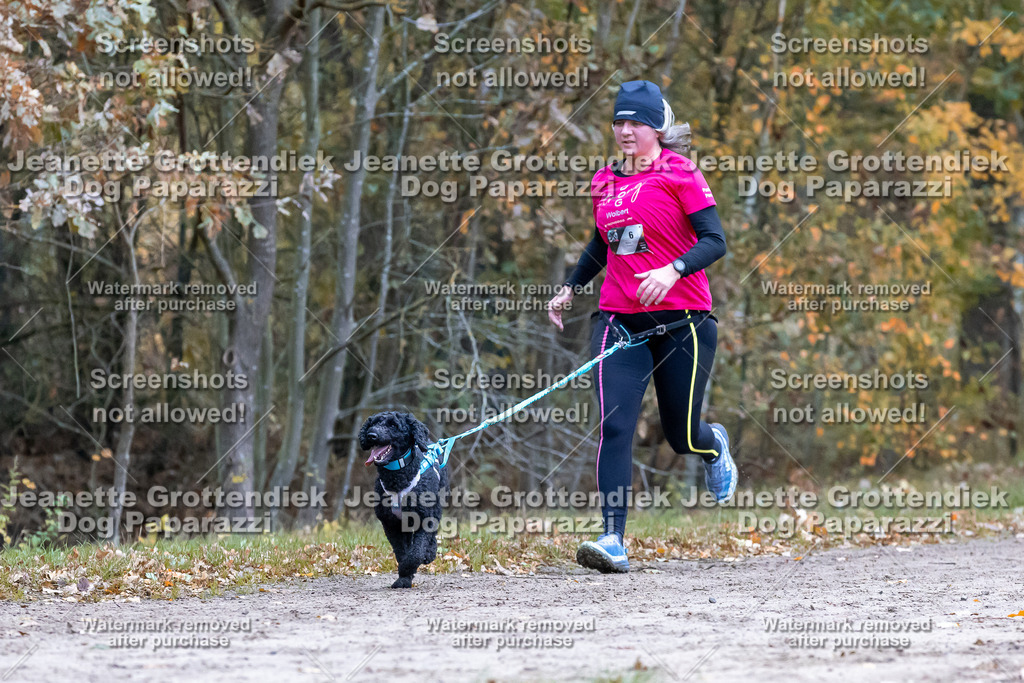 Dog Paparazzi - SD CaniX Championship 2025-337 | Dog Paparazzi Jeanette Grottendiek Fotografie & Videografie - Realisiert mit Pictrs.com