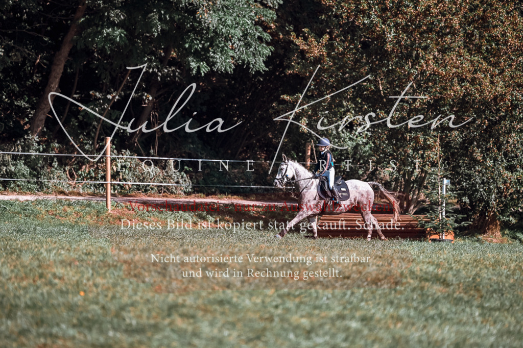 DSC_1162 | Pferde- und Turnierfotografie in Westsachsen. Pferdeportraits, Auftragszeichnungen und intuitive Kunst.