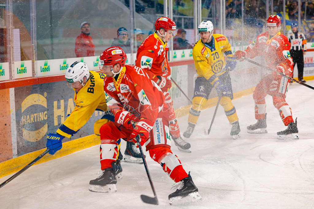 EHCB vs HCD 20260106_wb-1090 | Sportbilder, Sportfotograf, Hochzeits- und Eventfotografin, Flugshows, Portraits und Tiershooting, Aviation, Downhill, Nationalleague, Swissleague, International